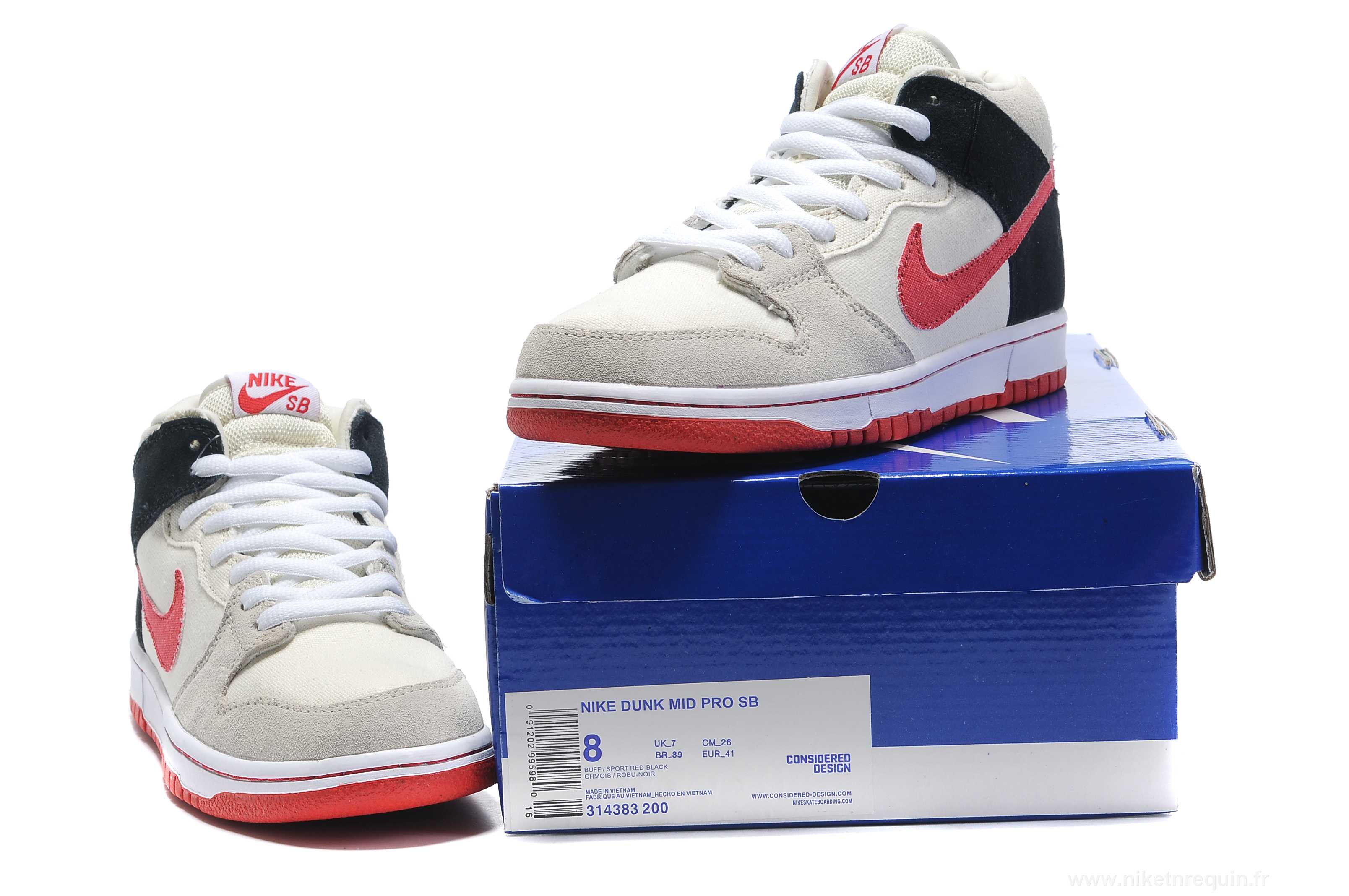 Nike Dunk SB blanc (1)